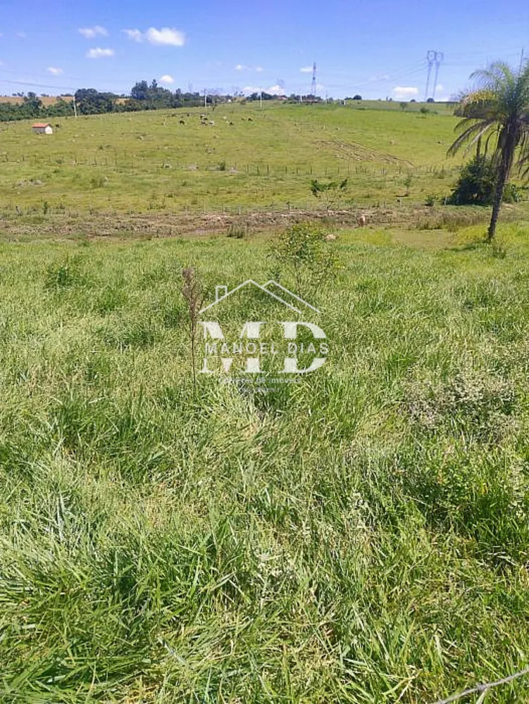 Sítio, 2 hectares - Foto 4