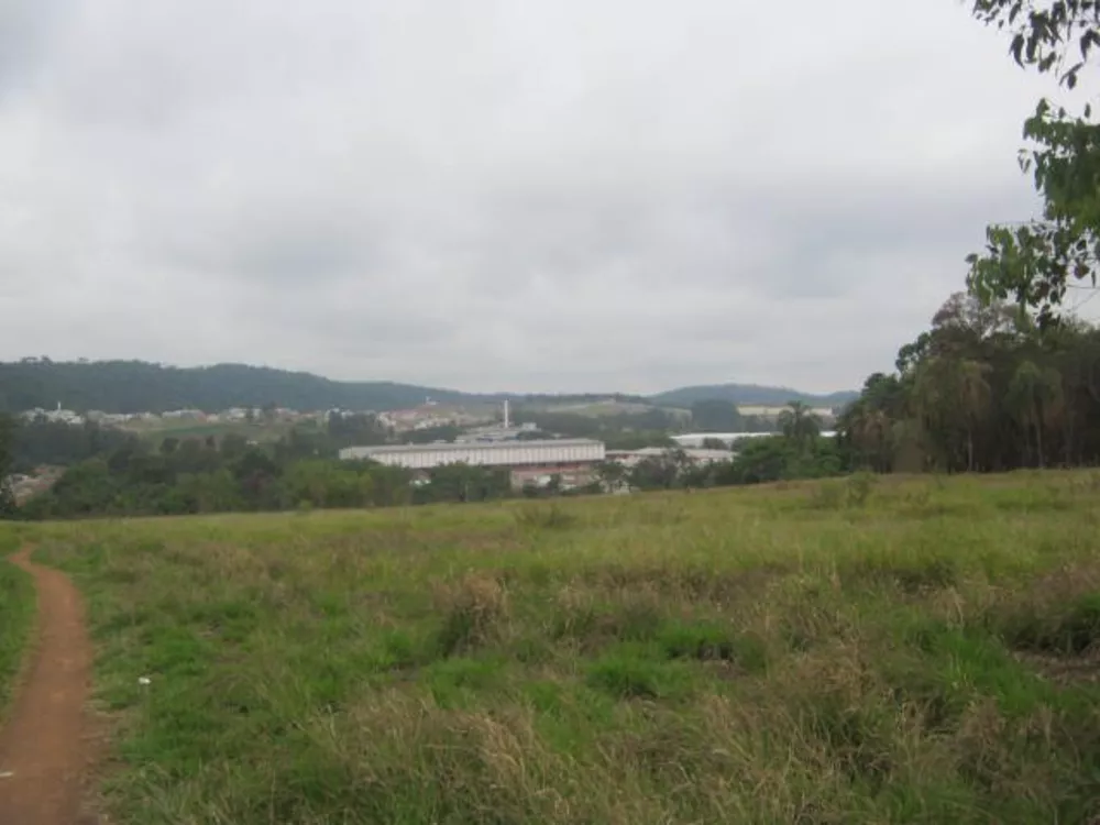 Terreno, 6 hectares - Foto 4