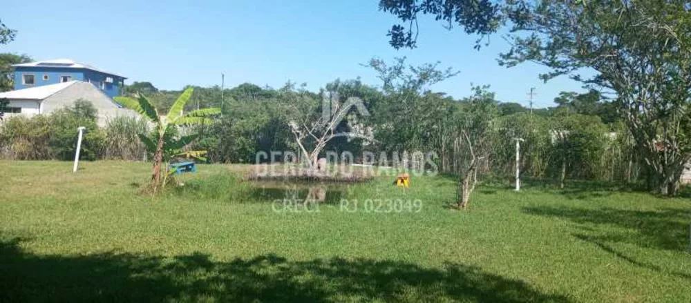 Sítio, 3 quartos, 3102 m² - Foto 4