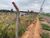 Terreno, 3 hectares - Foto 3