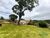 Chácara, 1 quarto, 1200 m² - Foto 4