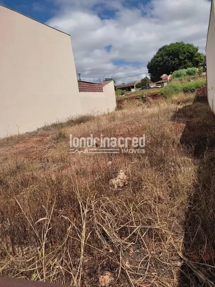 Terreno, 250 m² - Foto 2