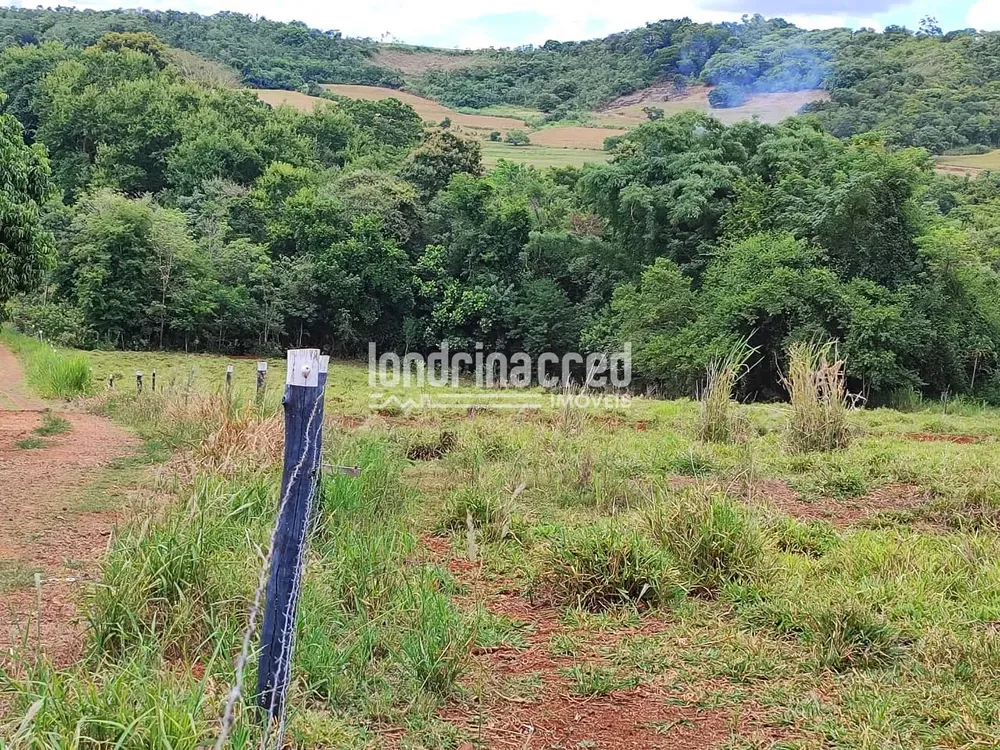 Chácara, 1 quarto, 1000 m² - Foto 2