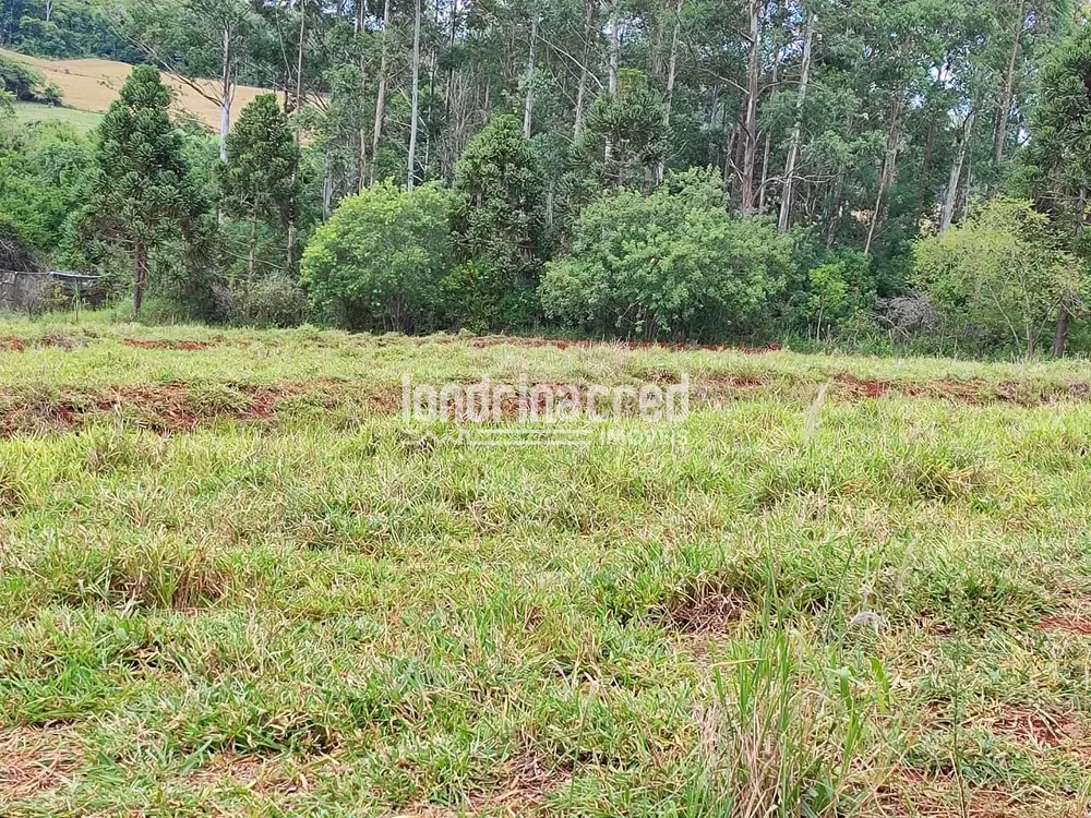 Chácara, 1 quarto, 1000 m² - Foto 3