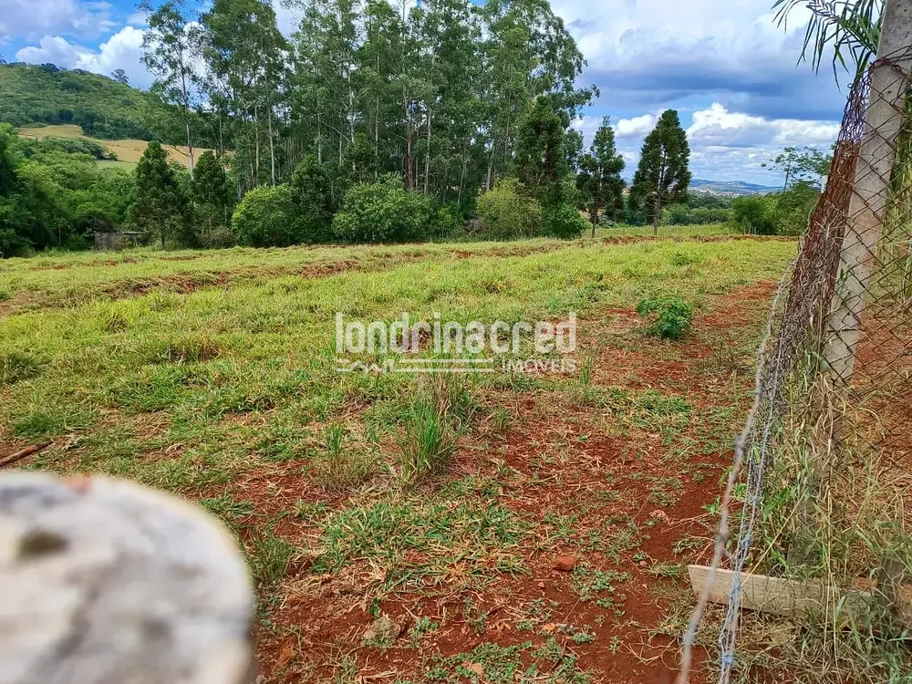 Chácara, 1 quarto, 1000 m² - Foto 1