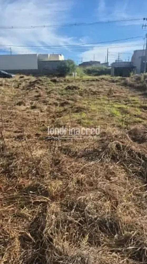 Terreno, 293 m² - Foto 3
