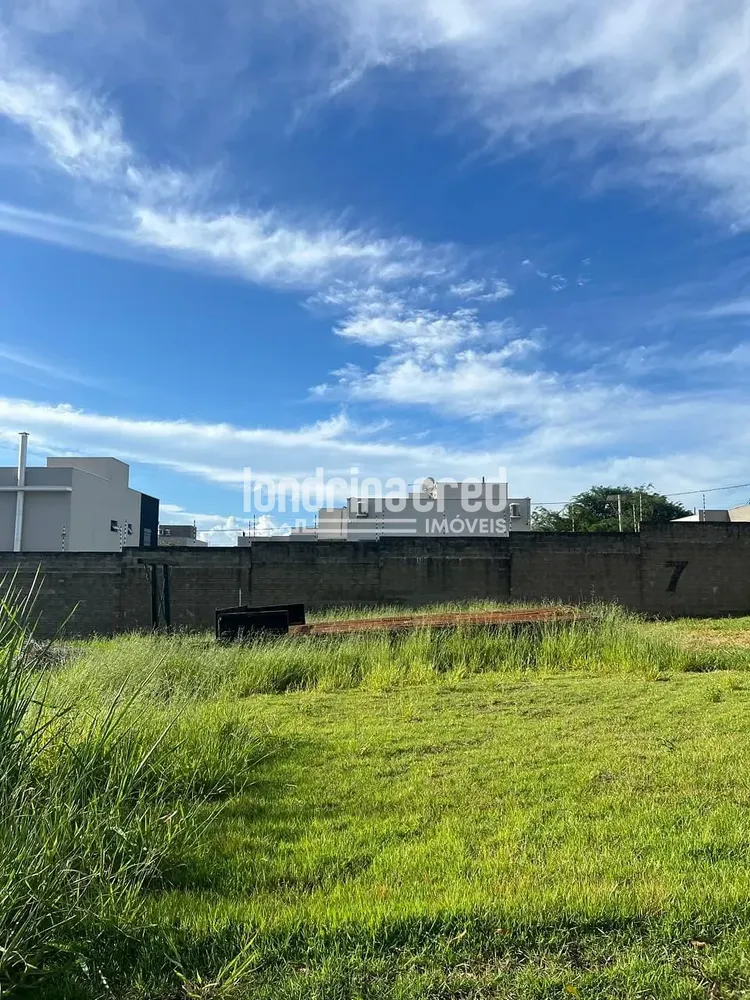 Terreno, 250 m² - Foto 3