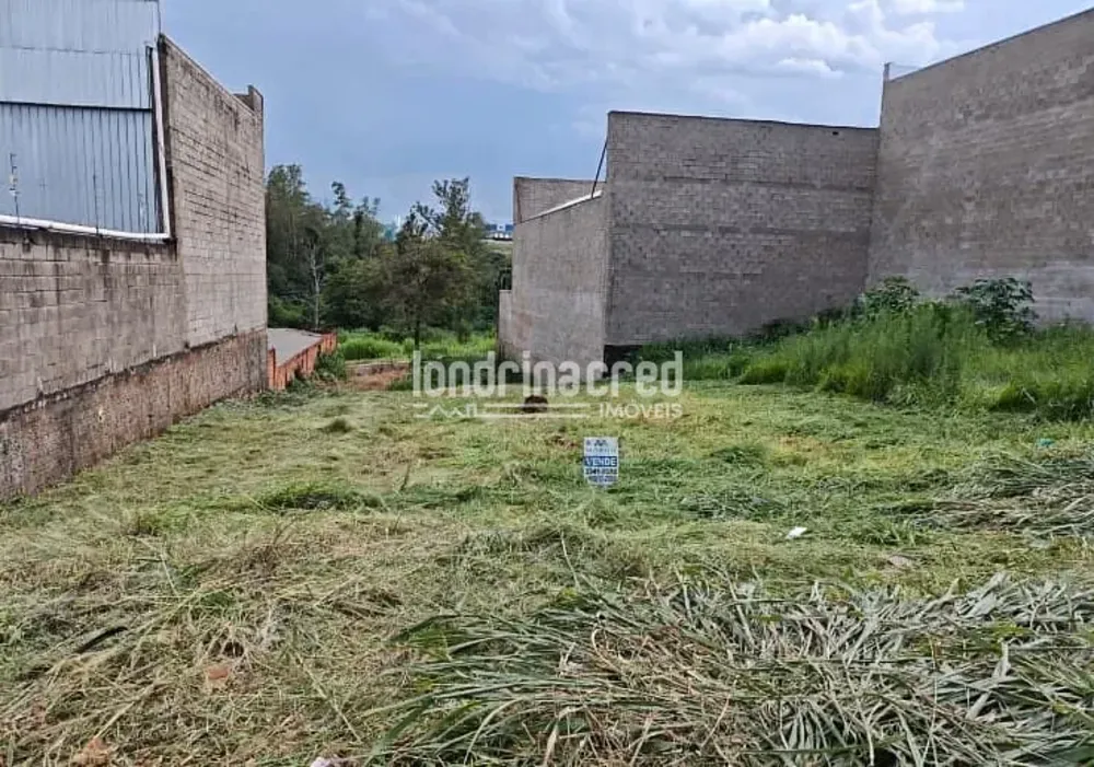 Terreno, 302 m² - Foto 7