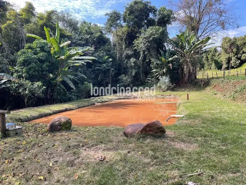 Sítio, 1 quarto, 10 hectares - Foto 6