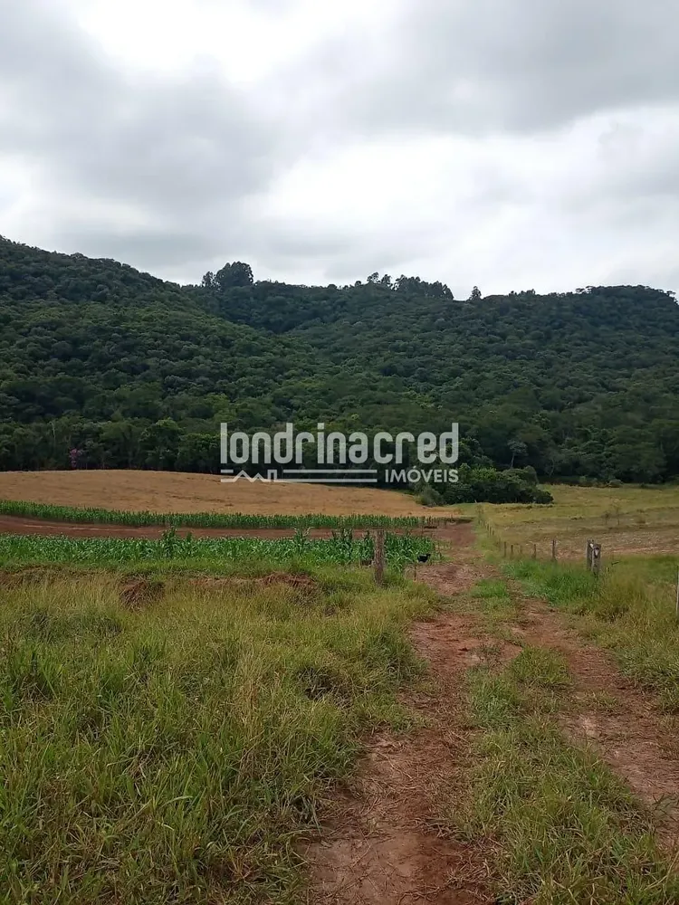 Chácara, 2 quartos, 11 hectares - Foto 1