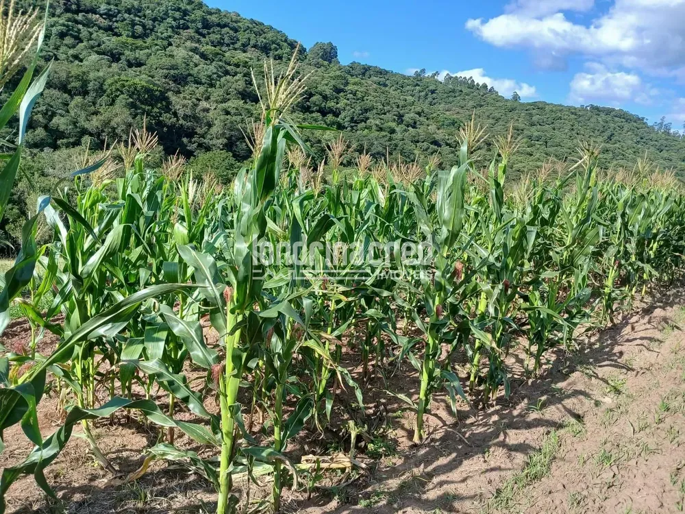 Chácara, 2 quartos, 11 hectares - Foto 7