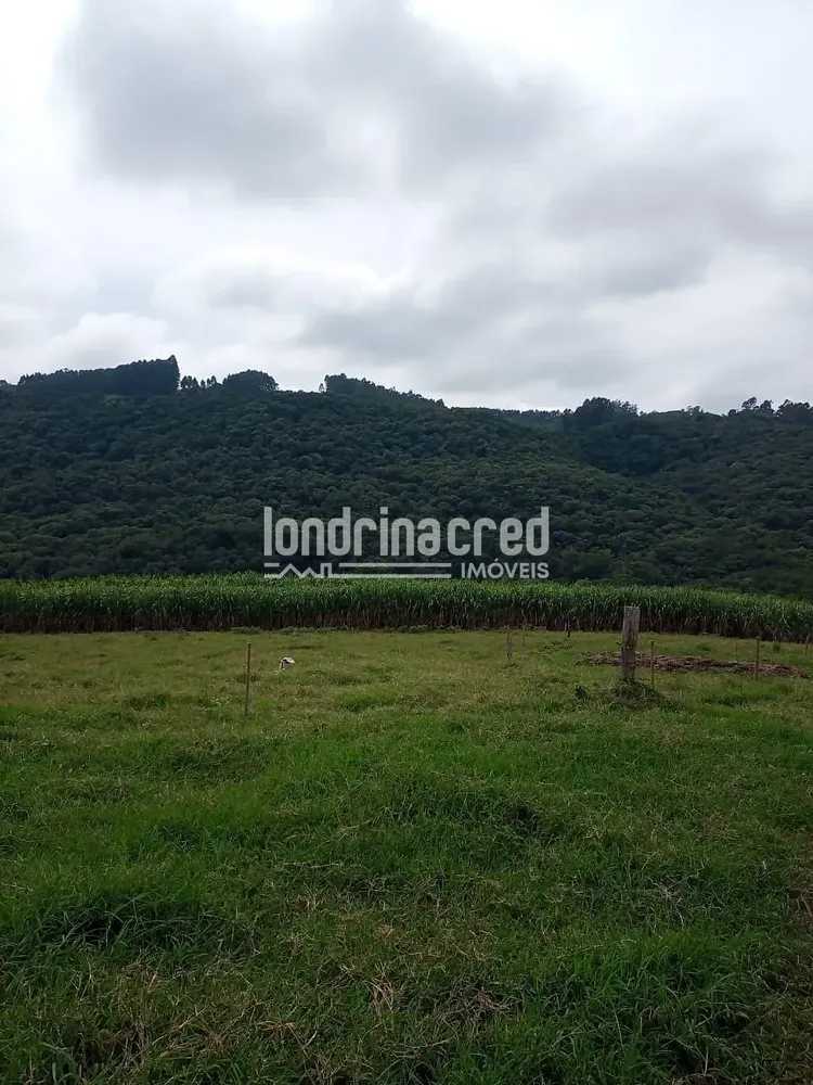 Chácara, 2 quartos, 11 hectares - Foto 3