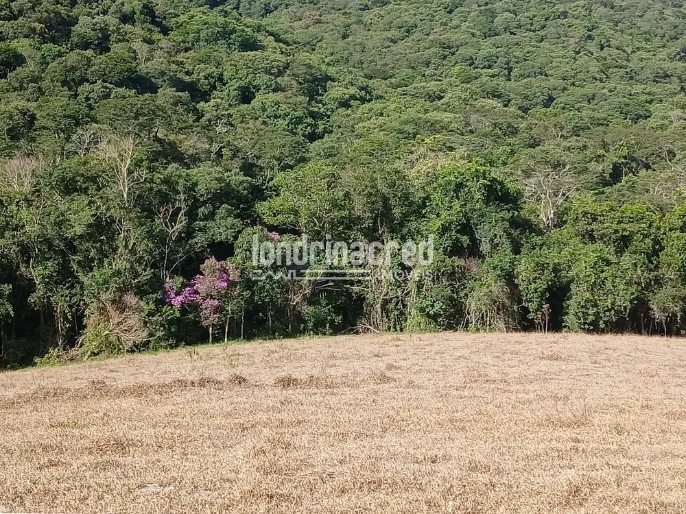 Chácara, 2 quartos, 11 hectares - Foto 6