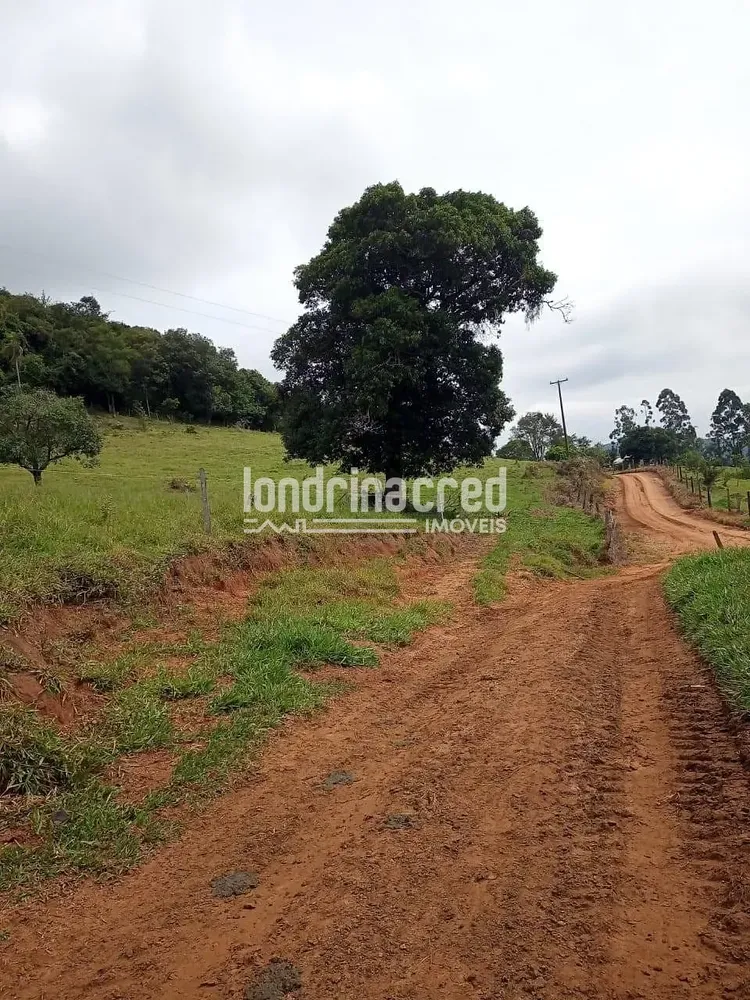Chácara, 2 quartos, 11 hectares - Foto 4
