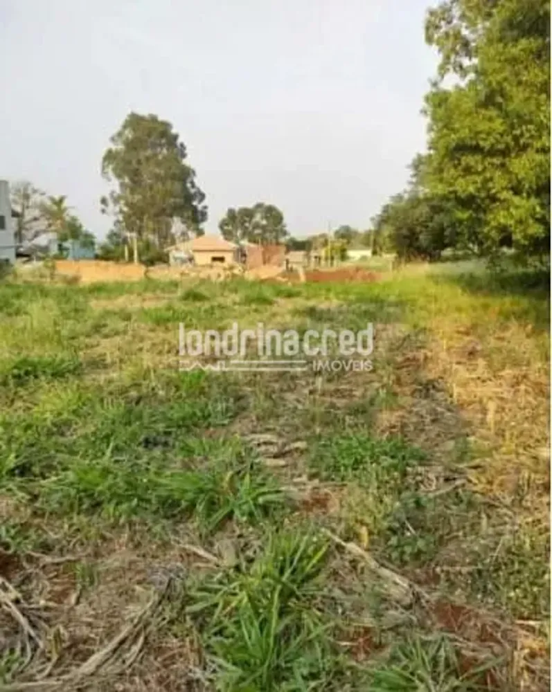 Chácara, 2 quartos, 2500 m² - Foto 11