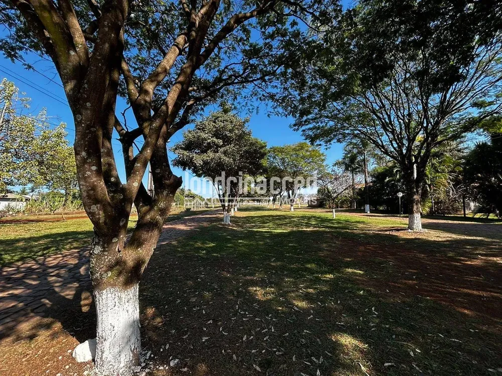 Chácara, 2 quartos, 2500 m² - Foto 5