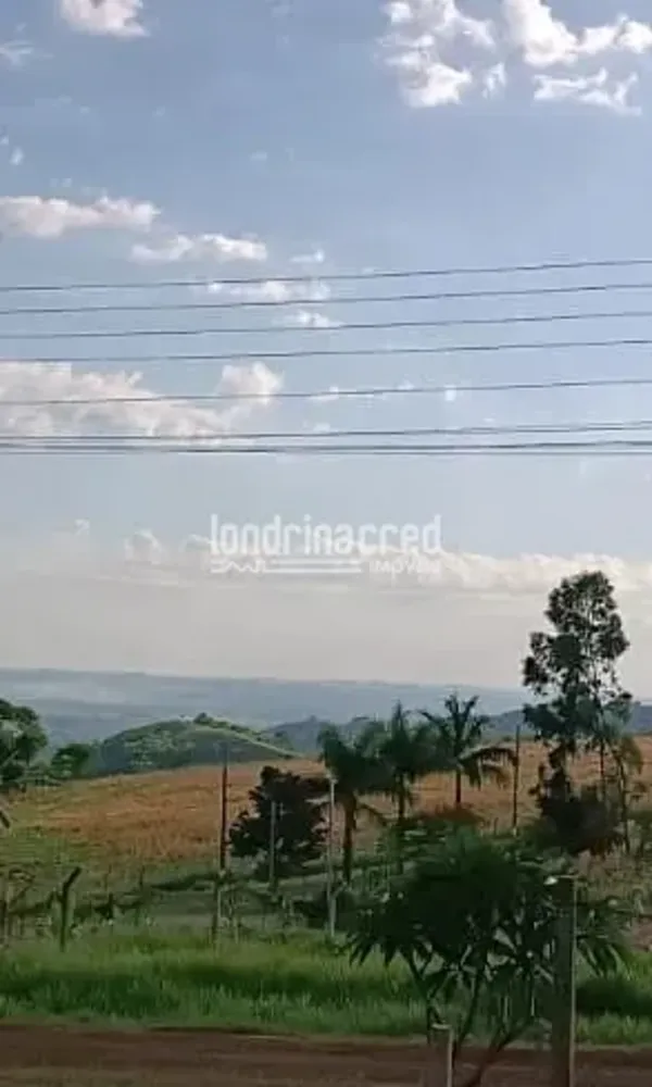 Chácara, 2 quartos, 2500 m² - Foto 1