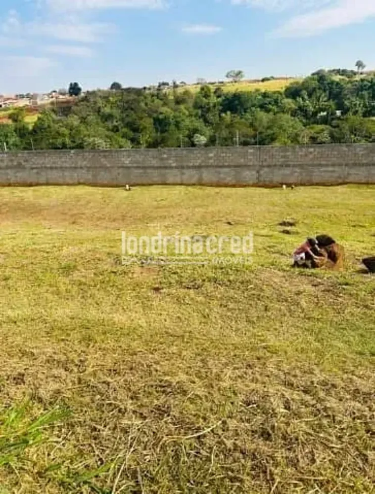 Terreno, 266 m² - Foto 4