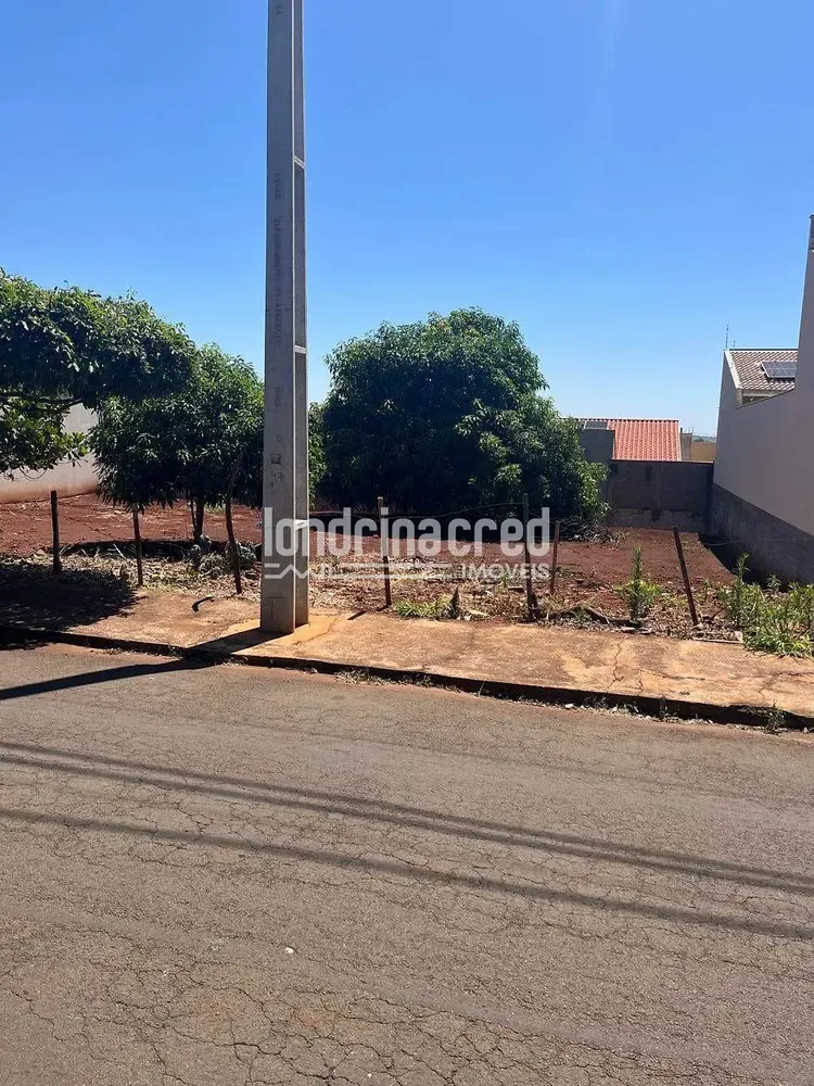 Terreno, 300 m² - Foto 8