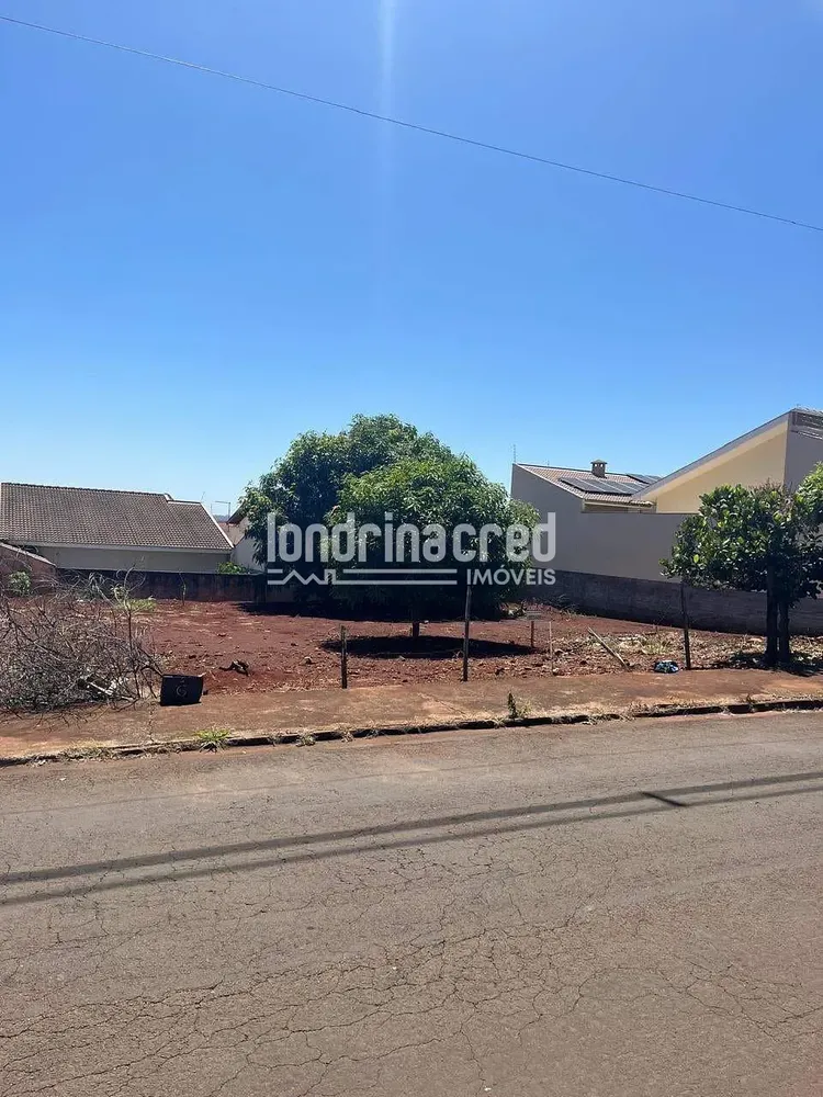 Terreno, 300 m² - Foto 3
