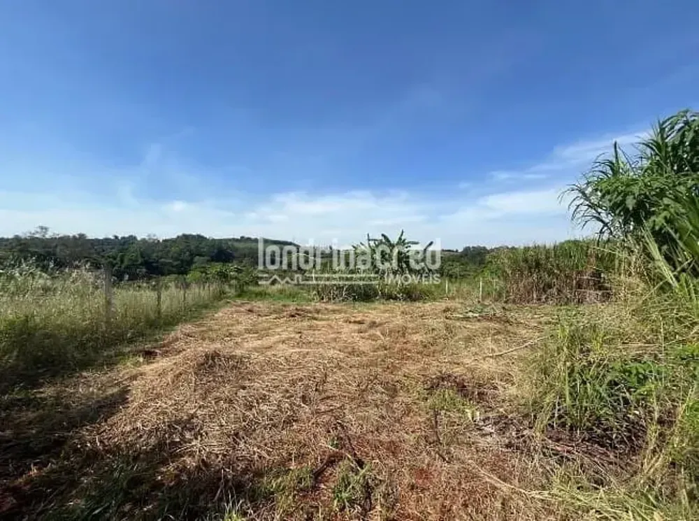 Terreno, 1000 m² - Foto 7