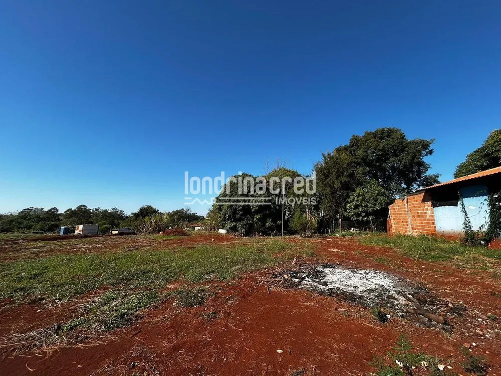 Terreno, 2552 m² - Foto 6