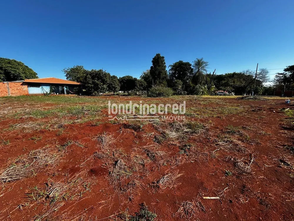 Terreno, 2552 m² - Foto 3