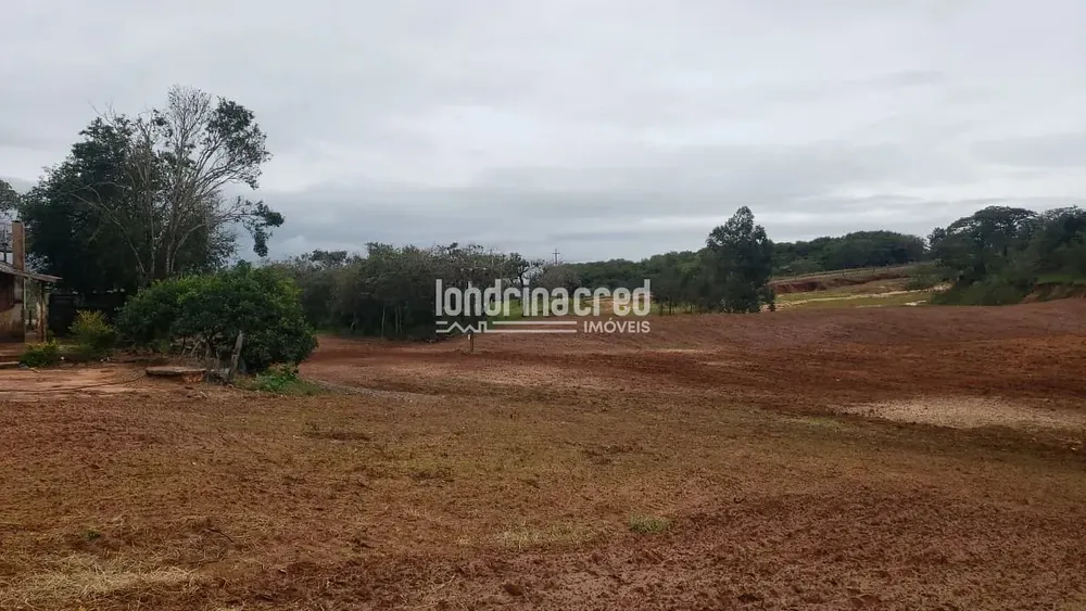 Sítio, 1 quarto, 12 hectares - Foto 2