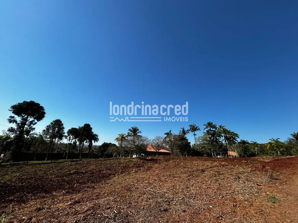 Terreno, 10000 m² - Foto 1