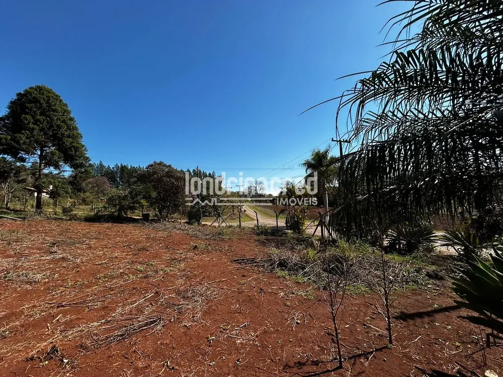Terreno, 10000 m² - Foto 2