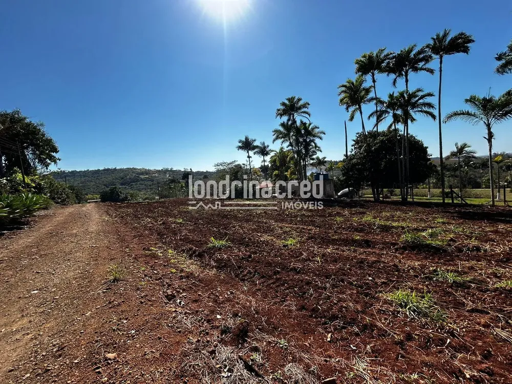 Terreno, 10000 m² - Foto 3