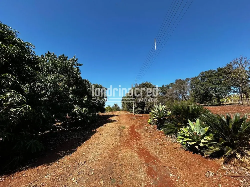 Terreno, 10000 m² - Foto 6