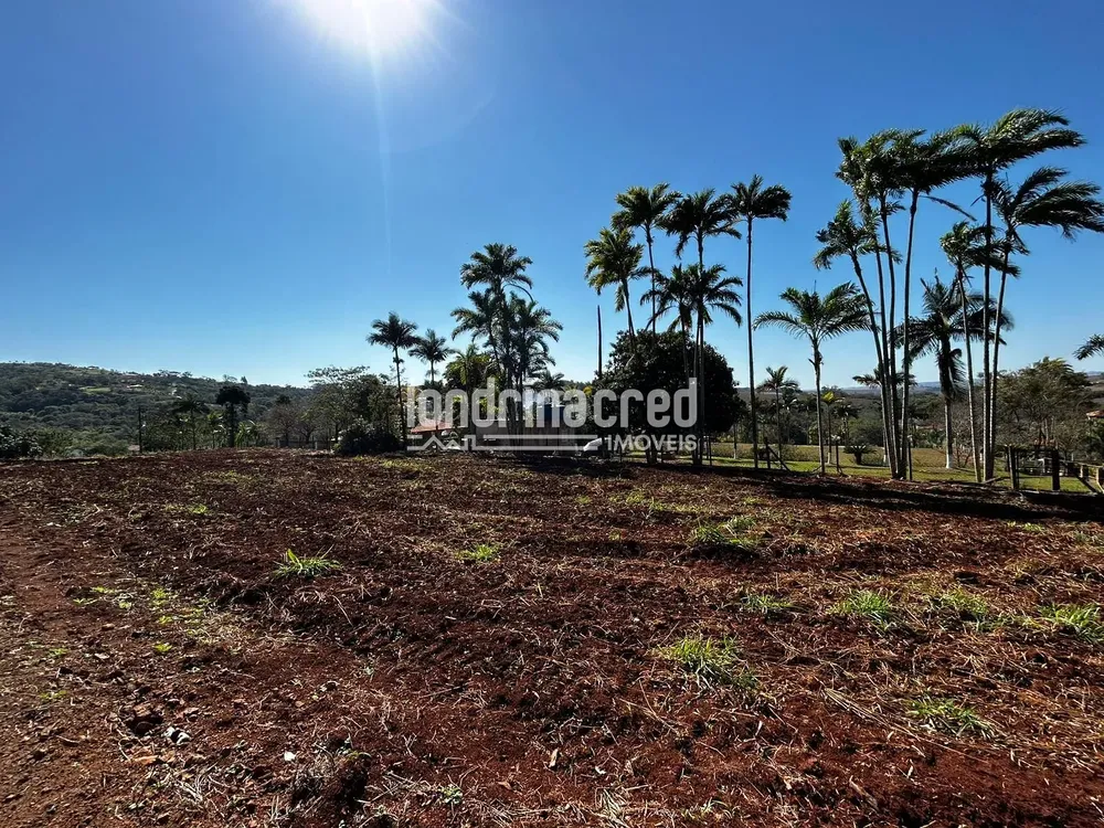 Terreno, 10000 m² - Foto 7