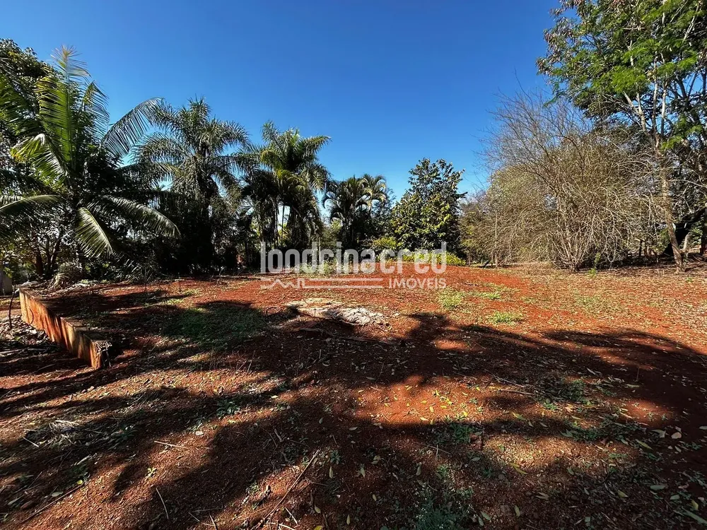 Terreno, 10000 m² - Foto 1