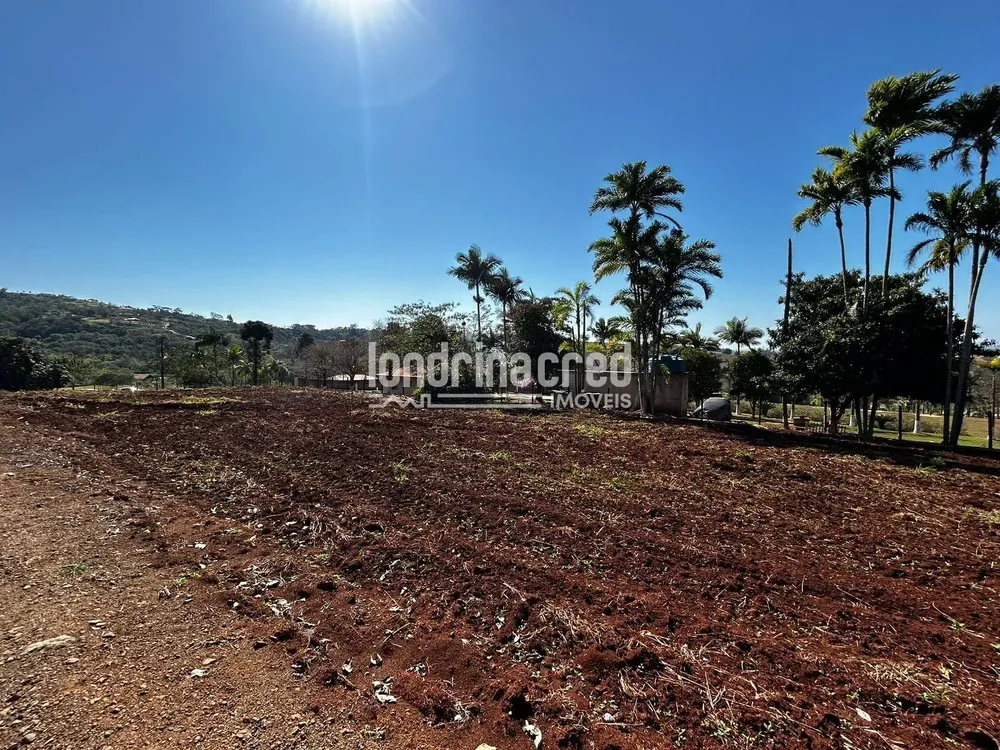Terreno, 10000 m² - Foto 4
