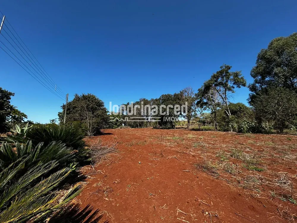 Terreno, 10000 m² - Foto 2