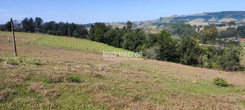 Terreno, 5 hectares - Foto 5