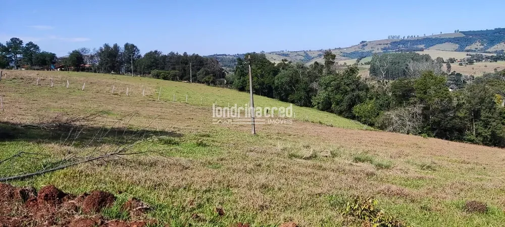 Terreno, 5 hectares - Foto 7