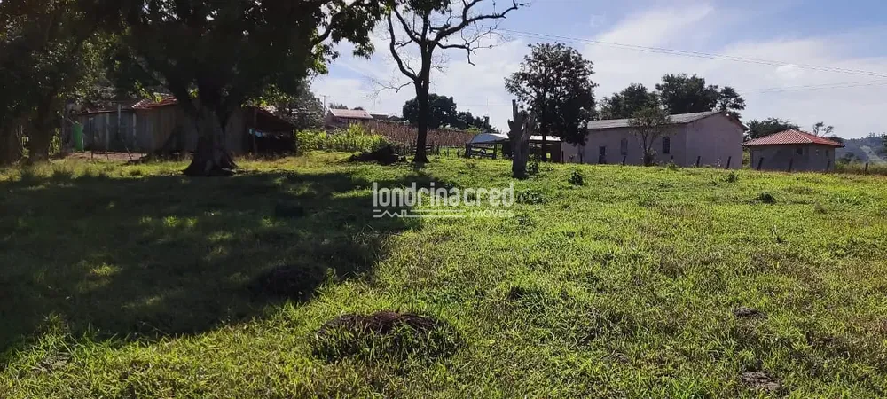 Terreno, 5 hectares - Foto 4