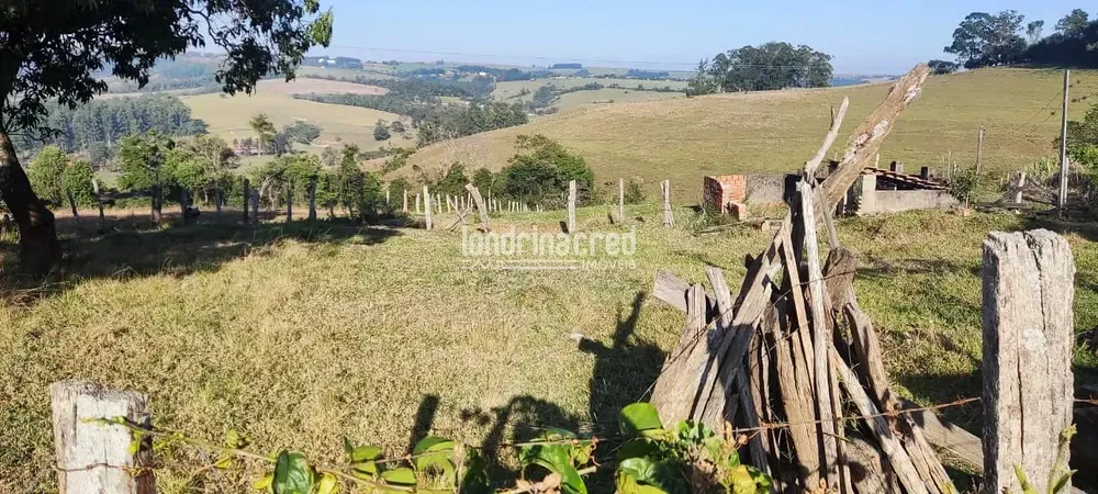 Terreno, 5 hectares - Foto 11