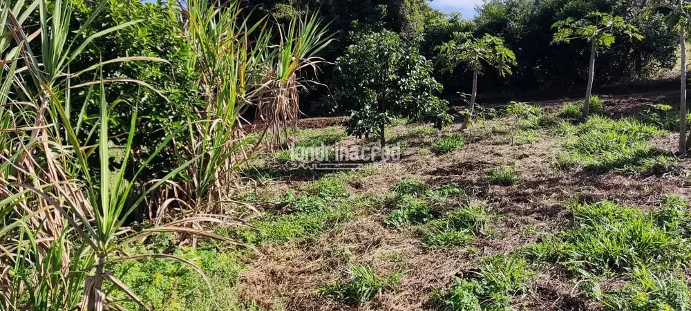 Terreno, 5 hectares - Foto 8