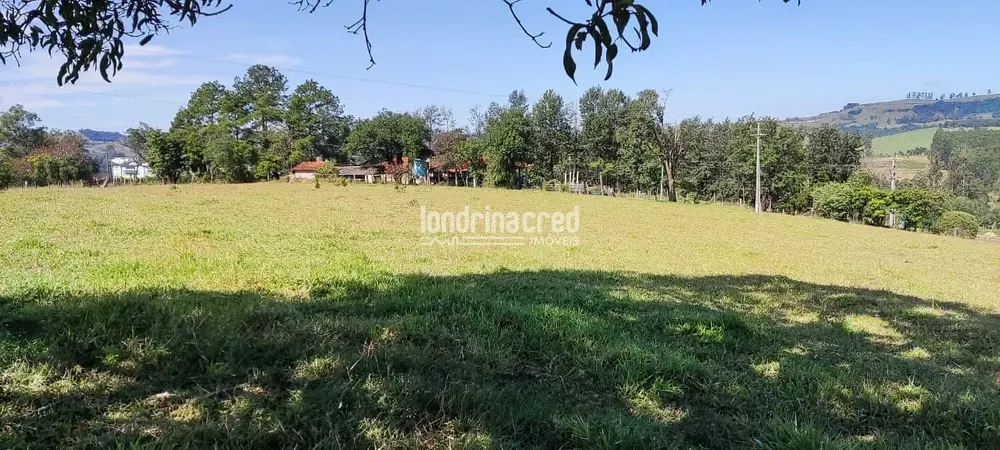 Terreno, 5 hectares - Foto 2