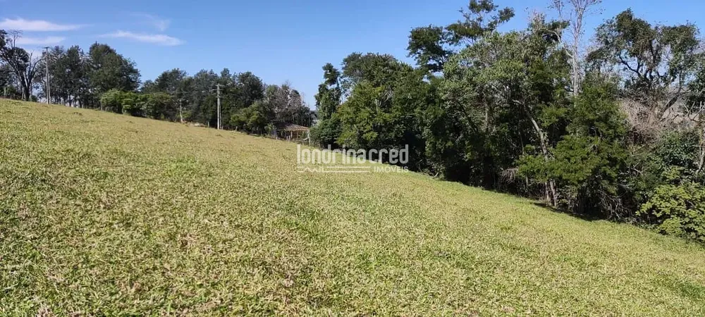 Terreno, 5 hectares - Foto 3