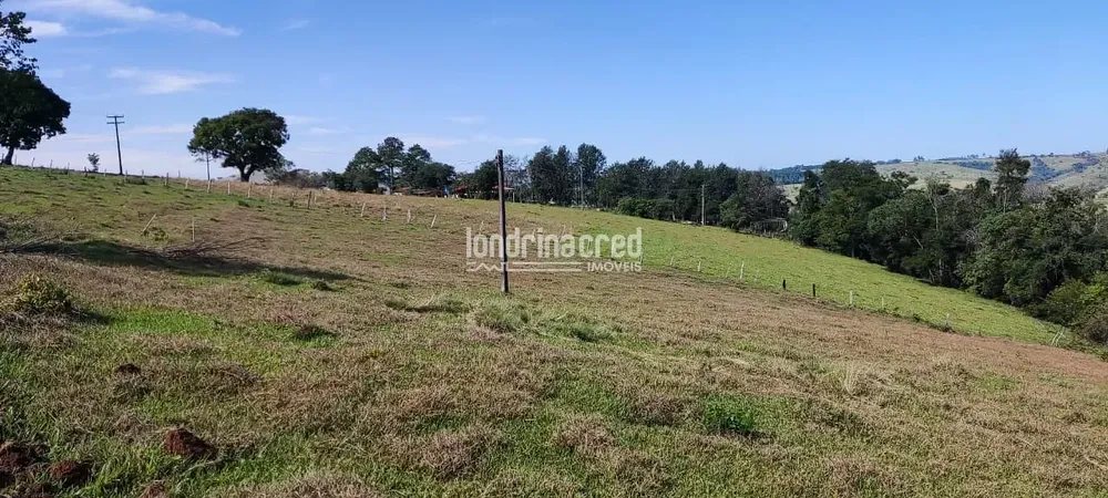 Terreno, 5 hectares - Foto 6