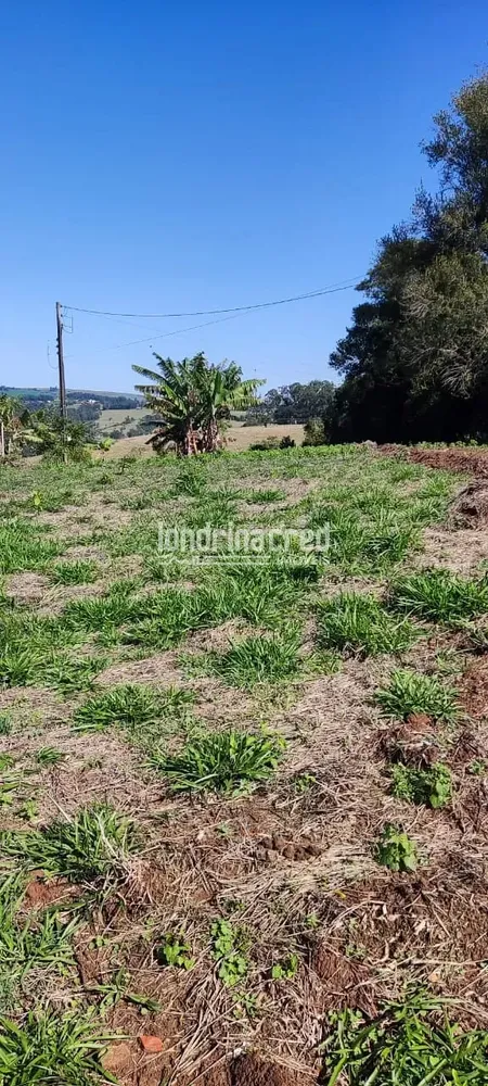 Terreno, 5 hectares - Foto 10