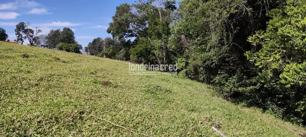 Terreno, 5 hectares - Foto 9