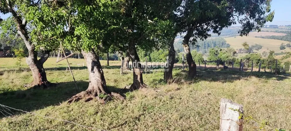 Terreno, 5 hectares - Foto 12