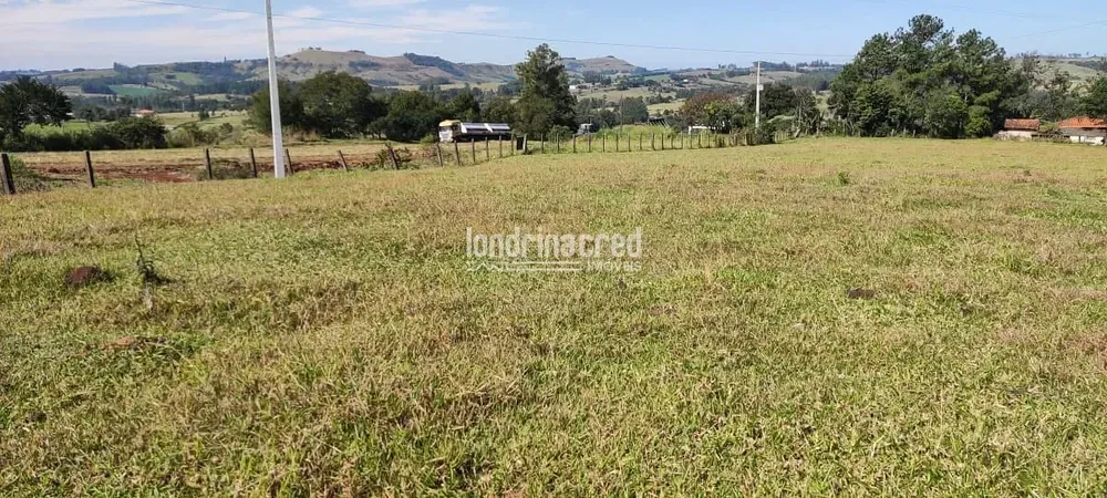 Terreno, 5 hectares - Foto 1