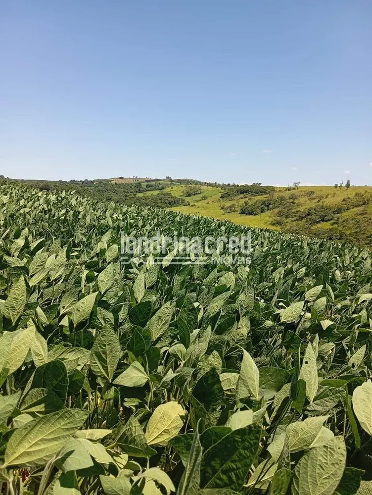 Sítio, 10 hectares - Foto 4