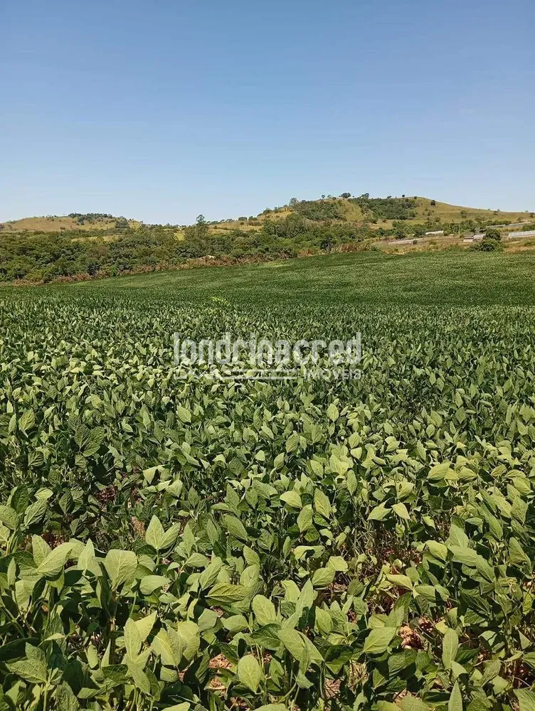 Sítio, 10 hectares - Foto 1